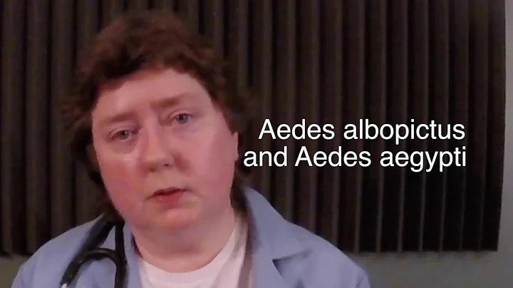 Doctor Margaret Meyers M.D. talks about the Zika V...