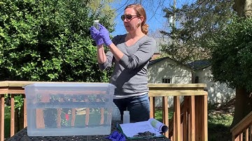 PRKN Citizen Science Water Quality Monitoring Program Tutorial Module 3