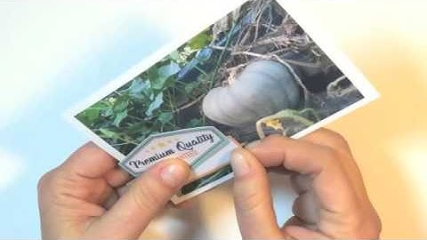 Kitaholic Kits - June kits - Project life Process Video with Deb