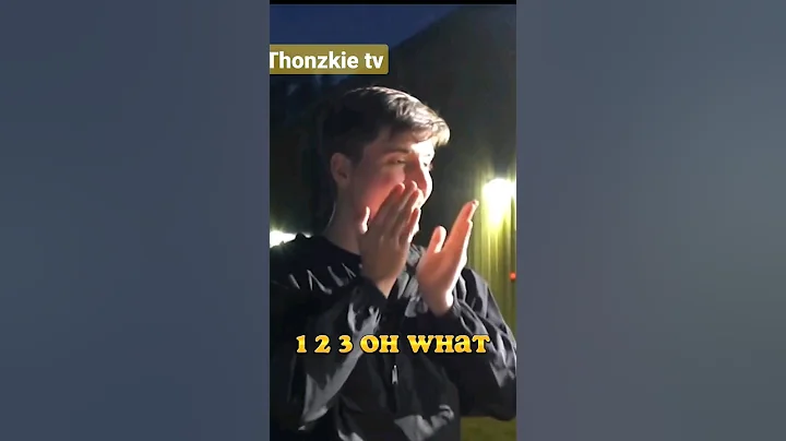 customizing tesla for mrbeast