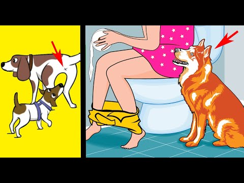 12 Strangest Dog Behaviors Explained!