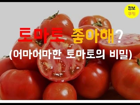 [건강꿀팁] 토마토의 비밀 / 토마토를 꼭 먹어야 하는 이유
