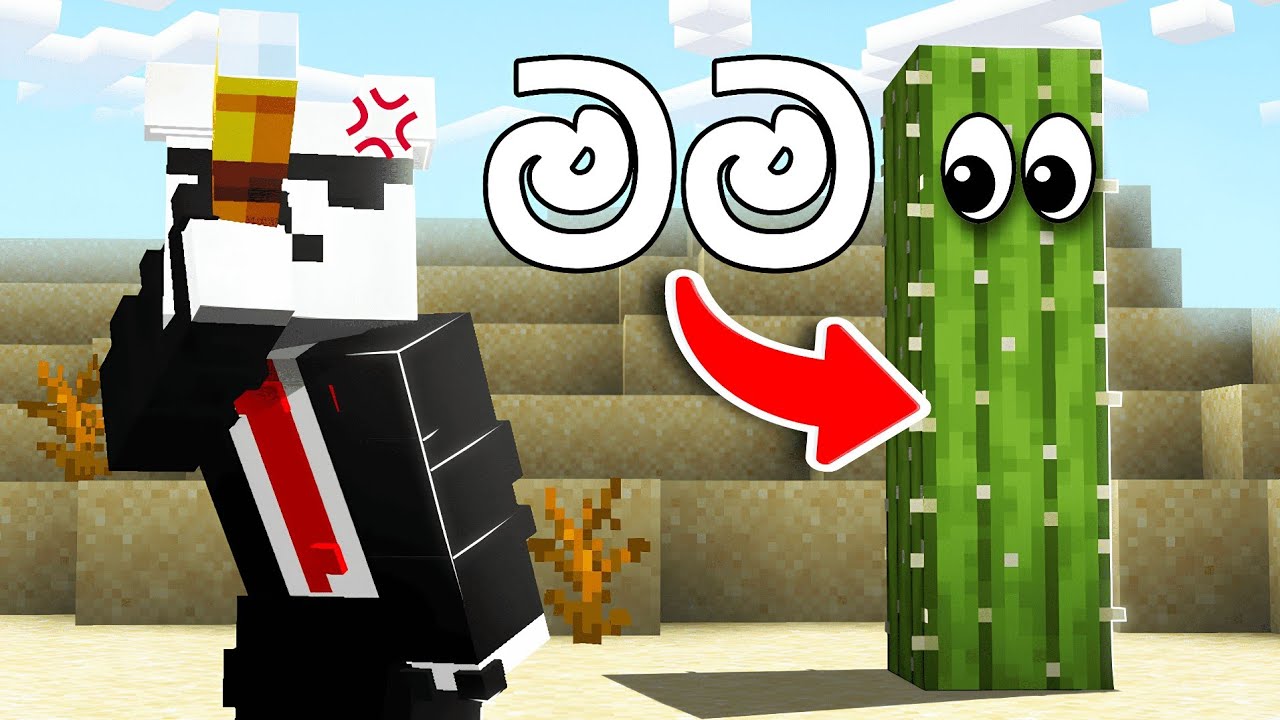 අපි හැංගිමුත්තො කරා යාලුවේ 😜❤️ ft.@slashcatLK @SasEeDT 