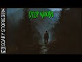 60 min of deep woods horror stories  rain  haunting ambience