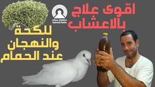 أقوى علاج بالاعشاب للكحة والنهجان| عند الحمام والوقاية من الأمراض التنفسية|🕊💪👍2022