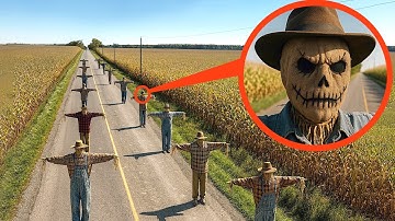If you see these scarecrows standing on the road.. Don