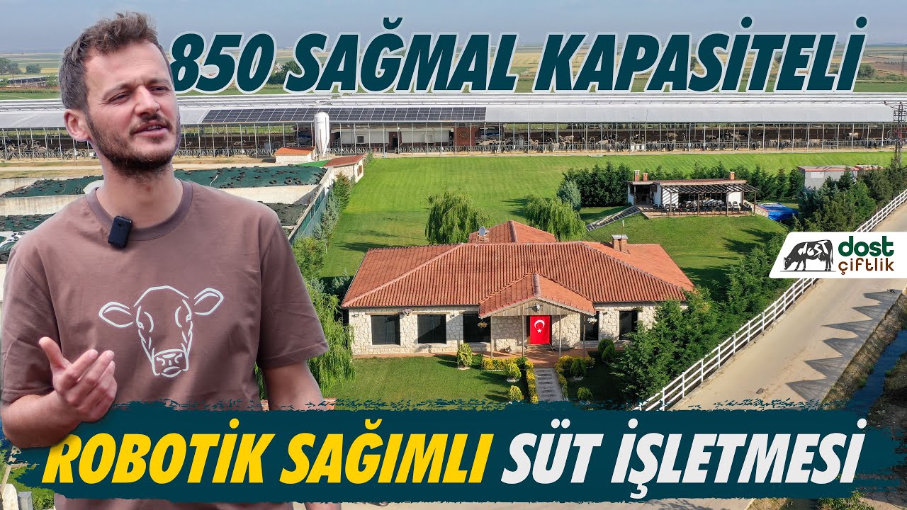 850 Sağmal Kapasiteli Robotik Sağımlı Süt İşletmesi ; Dost Çiftlik