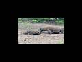 SHARING FOOD | KOMODO