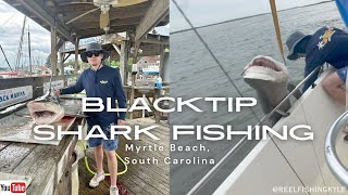 Massive 103lbs Blacktip Shark caught near Myrtle Beach, SC!