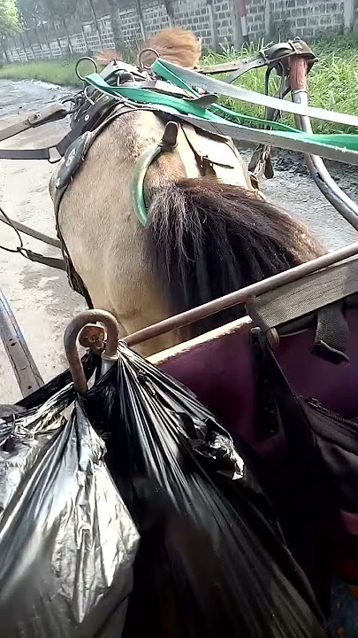 naik delman ke banjaran.#laguanak #bandung