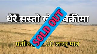 Sasto khet bikri ma | open plots for sale | nepal khet bari | ghar jagga nepal