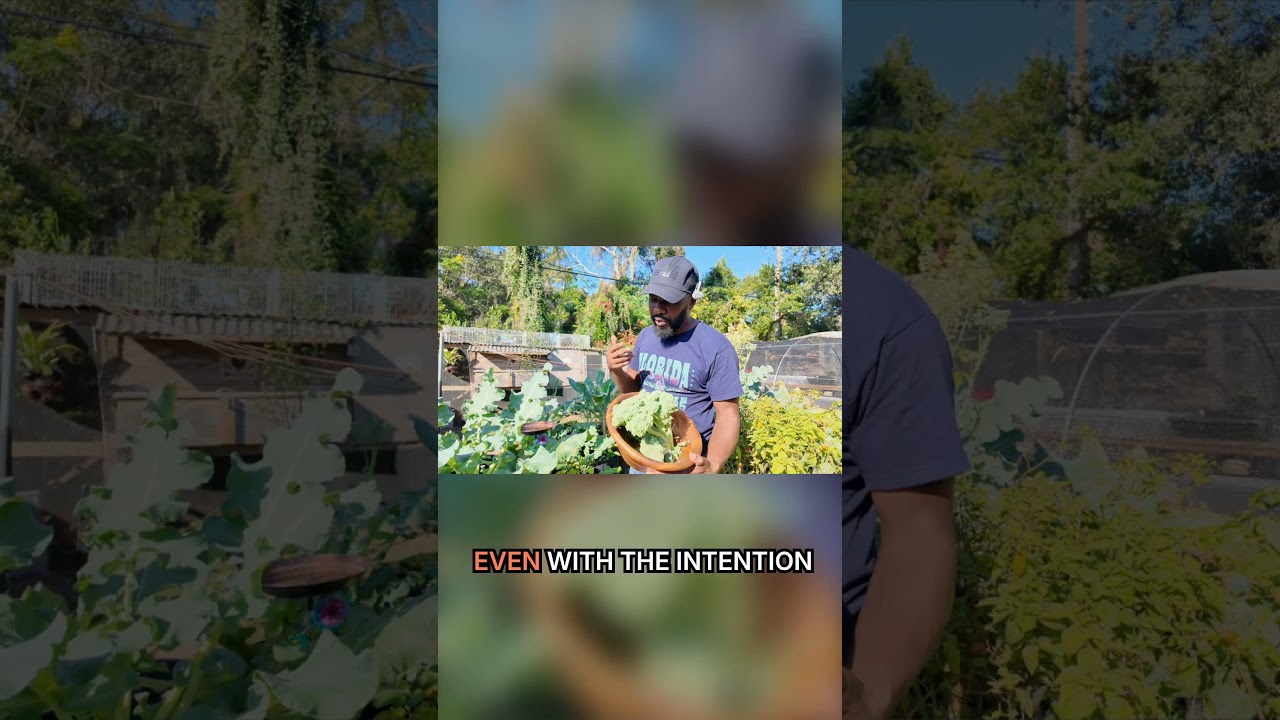 Unexpected Harvest Sustainable Garden Cleanup