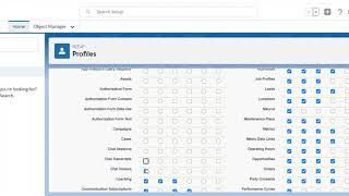 Salesforce Admin (Lightning Experience) | Session 6 | Security Model- Profiles Wealth