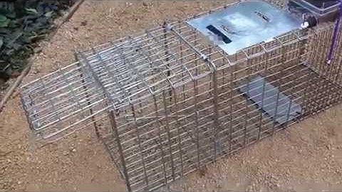 Remote Controlled Trap
