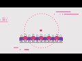 New Local Data in GSK and IQVIA's Vaccine Track Supports Smarter Public Health Action at the...