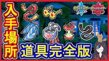 ポケモン対戦 道具