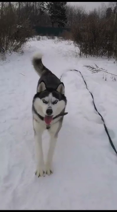 youtube.com