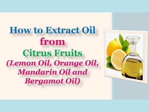 How To Extract Oil From Citrus Fruits Lemon Oil Orange Oil