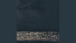 Nocturnal Blues