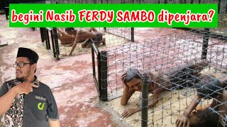 Eps 732 | HUKUMAN PANTAS UNTUK FERDY SAMBO. BAGAIMANA KONDISI NAPI KORUPTOR DI PENJARA