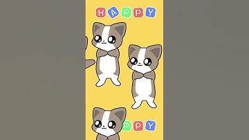 Happy cat going crazy🔥(flash warning)