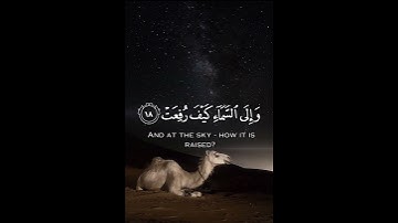 أفلا ينظرون إلى الإبل كيف خلقت || القارئ عبد الرحمن مسعد🤍🤍 || أكتب شي تؤجر عليه لعله يغفر ذنوبك🩵🩵
