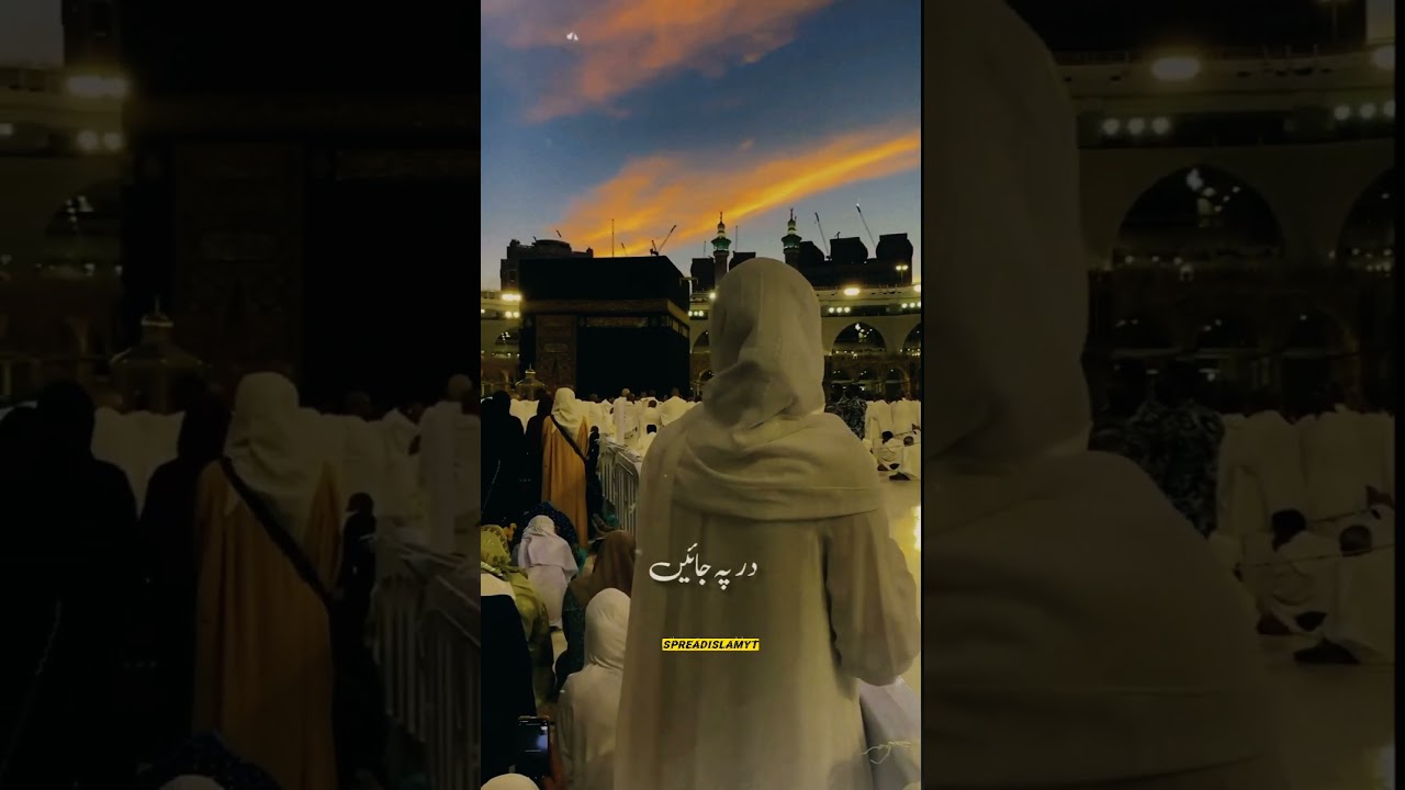 Haal e Dil Kis Ko Sunain ||Hazrat Muhammad SAW||Lyrical Status 