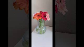 Making Home decoration using Gifted Bokkey@CHENNAITONETHERLAND#bokkey #homedecoration #netherlands