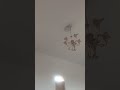 ١٥ مايو ٢٠٢٥ ١٥ مايو ٢٠٢٥
