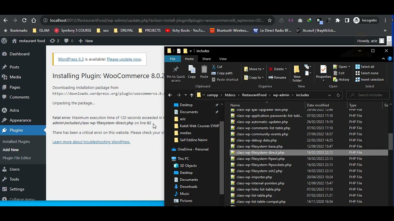 Mastering WordPress: Troubleshooting Common Errors Like a Pro