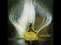 Look inside  awake book