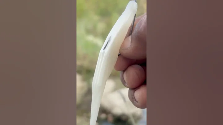 “How to Rig a Fluke in 1 Minute – Quick Fishing Tip for Bigger Bites!” #fishing #bassfishing #flukes