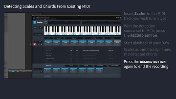 Scaler 2 - Detecting Scales & Chords From Existing MIDI