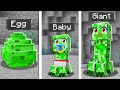Top 5 BEST Pets to Tame in Minecraft!