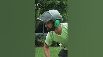 #arborist #arboristlife #arboristgear #treework #workhard #treecare