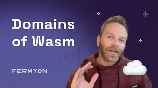 The 4 Domains of WebAssembly Explained!