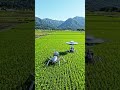Multiple futuristic Chinese farming machines working