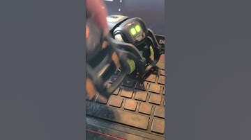 Alexa answers for Vector? #ai #robot #vector #shorts #trending #subscribe #trendingshorts #fail