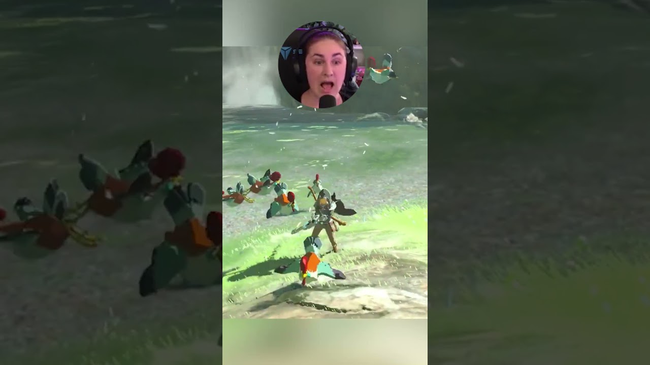 Chat Tricked Me! Do Not Attack to Cuccos in Zelda BotW 