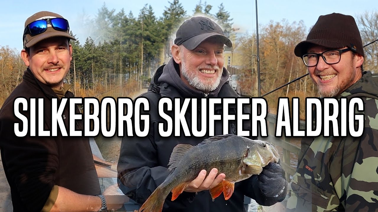 Silkeborg Skuffer Aldrig - Store gedder og en gammel aborre