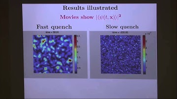 Paul Chesler - Holographic perspectives on the Kibble Zurek mechanism