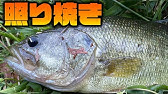 ブラックバス 刺身で食べてみた Youtube ブラックバス 刺身で食べてみた Youtube