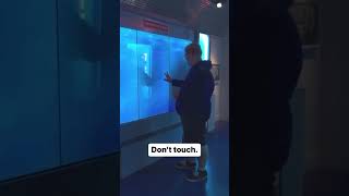 Dont touch this glass🤯🤯 #animal #fyp #shorts