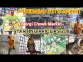 Petmarket in hyderabadcheapest birds shopbiggest  wholesale pets market in hyderabadmurgichowk