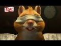 Реклама с бобъра на пръчици STAR