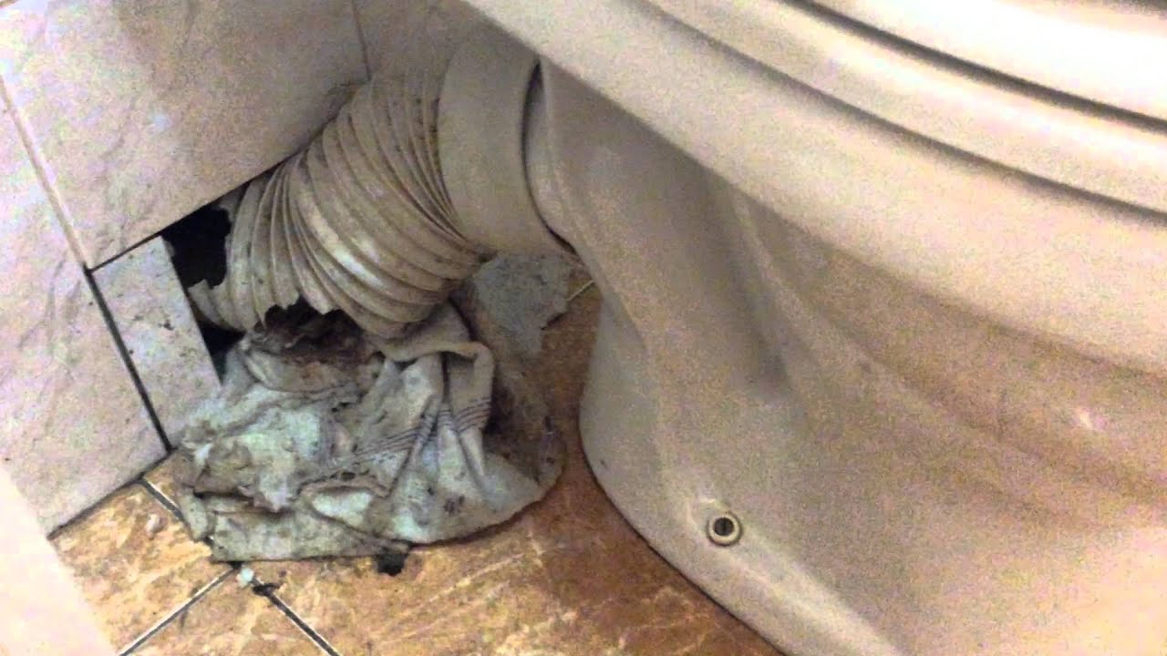 Как избавиться от крыс в квартире - YouTube