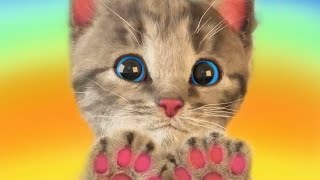 Little Kitten - My Favorite Cat 😻 Little Kitten School Friends Education Cartoon Animation for Kids