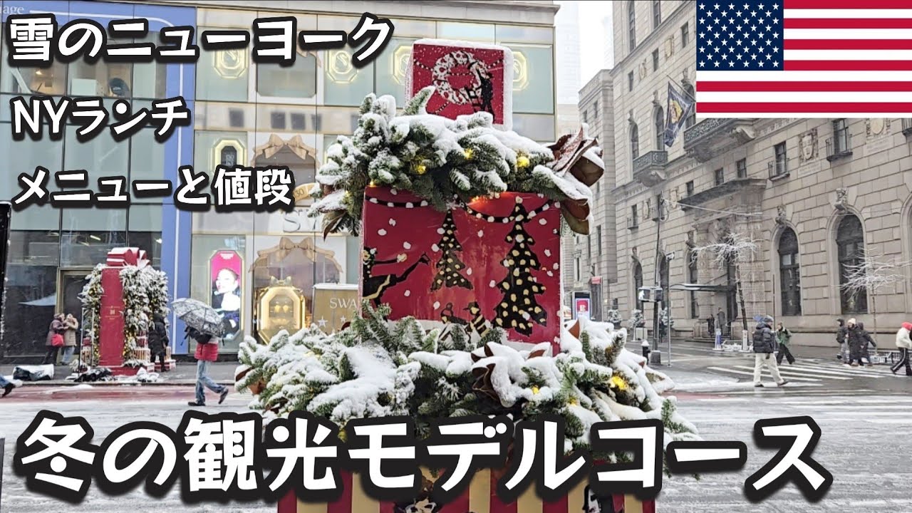 [ニューヨーク観光&物価] 雪のニューヨークをたっぷり観光してランチを食べる | ニューヨークの外食の値段