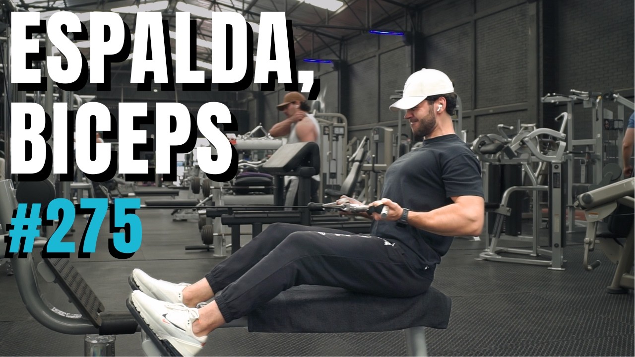Rutina completa de espalda y bíceps | Día 275 - YouTube