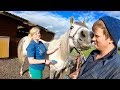 FUNNY LOOKING TRACTOR? MEET THE FARMS "HORSE" POWER